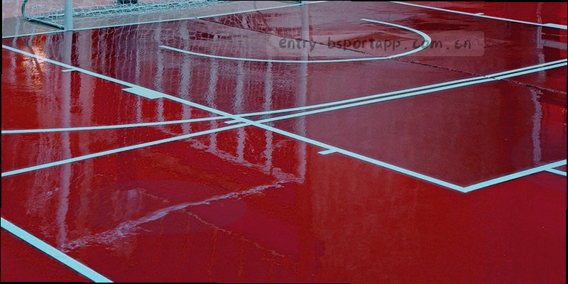 BSPORTAPP品牌标识演变示意