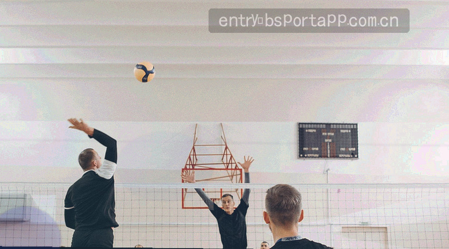 BSPORTAPP电脑版数据同步与历史筛选界面